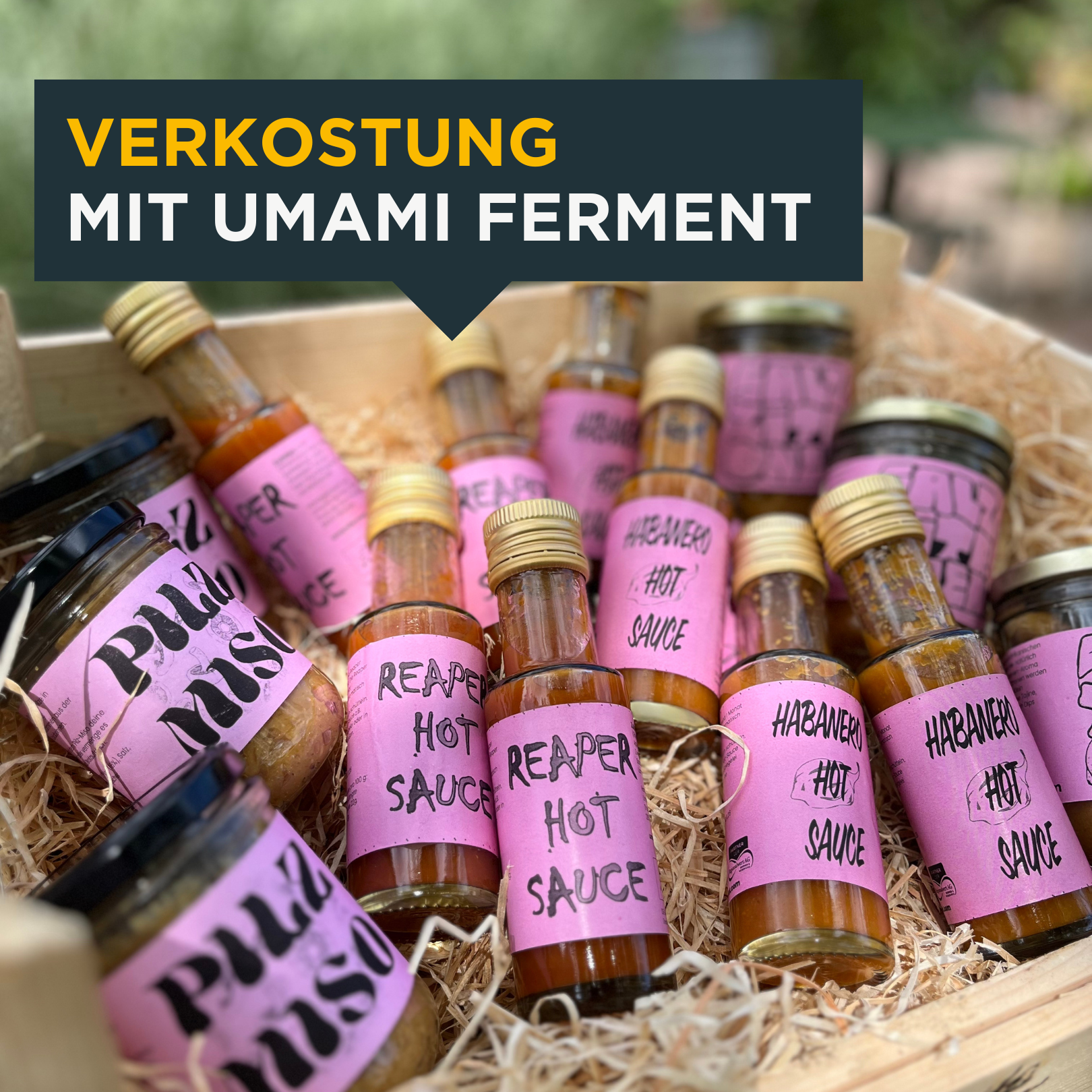 Verkostung Umami Ferment